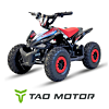 TAOMOTOR Kids’ ATV 2025 Spider Premium – a well-considered choice