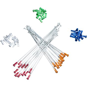 SPOKES 19 RR SI /OR NIP 12PC