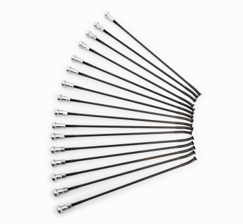 SPOKES 19 FR BK/SI 16PC