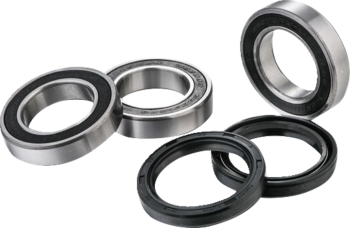 BEARING KIT RR WHEEL