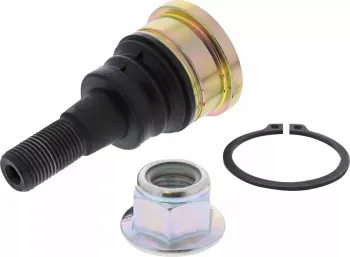 BALLJOINT LOWER POL RZR MSE