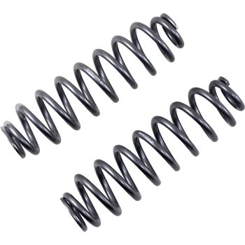 SPRING KIT POL RR SILVER