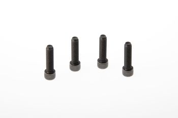 TRIPLE CLAMP SCREWS XL