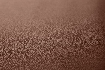 SEATCOVER WHSPR BRN 54X36