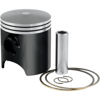 PISTON RING 590310200002