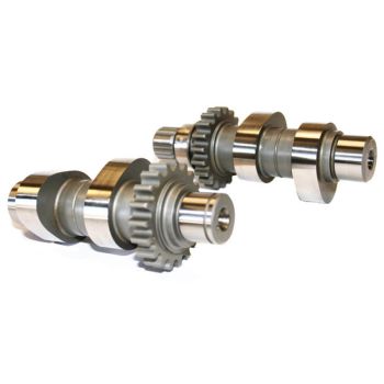 CAMS 594C CHAIN DRV 99-06