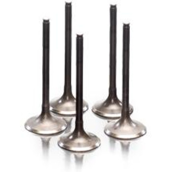 VALVE IN STEEL CRF150R