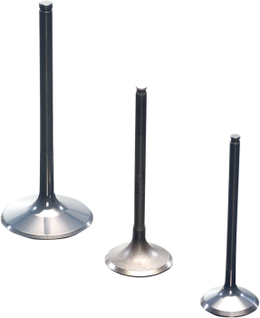 VALVE EX TITAN LTR450 06-11