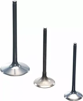 VALVE TITAN INT RM-Z250