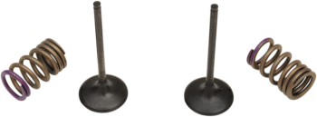 VALVE IN/SPRING KIT KX250F