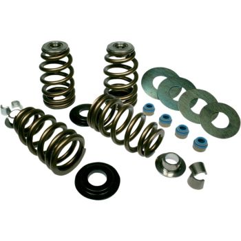 VALVE SPRINGS HILOAD SE