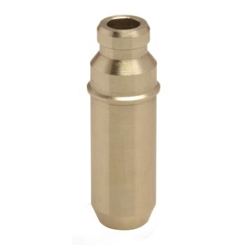 GUIDE VLV STD POL RZR900