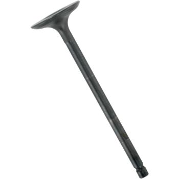 VALVE STEEL INT YAM