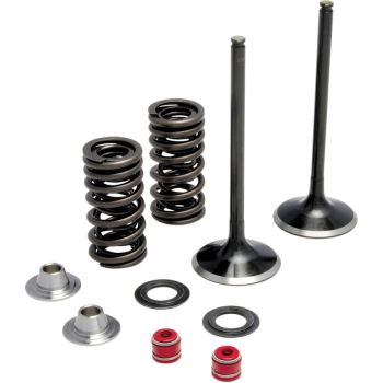 VALVE KIT IN MSE 450EXC