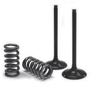 VALVE EX/SPRING KIT EXC-F