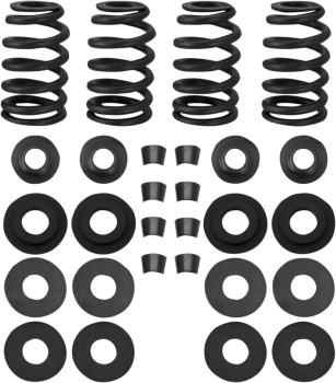 SPRINGS .585" 99-04TC