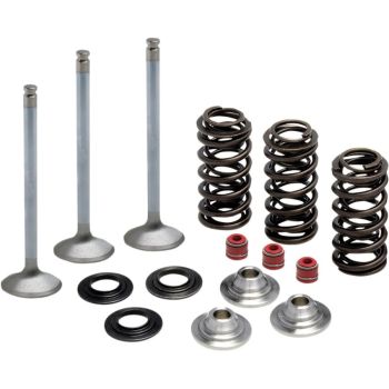 VALVE SPRING KIT YAMAHA
