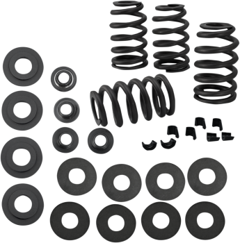 SPRING KIT VALVE .585"