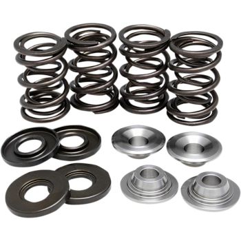 VALVE SPRING KIT BMW