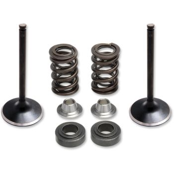 VALVE SPRING KIT YAMAHA
