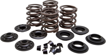 VALVE SPRING KIT.600 LIFT