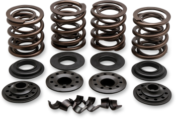 VALVE SPRING KIT.415 LIFT
