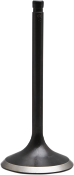 VALVE INTAKE 2.100 EVO/TC