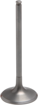 VALVE INTAKE STD CRF450R