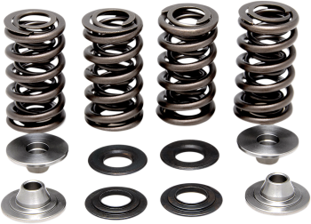 SPRING KIT RM-Z250 04-06