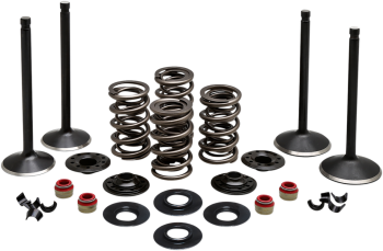 VALVE KIT COMP 84-98 EVO