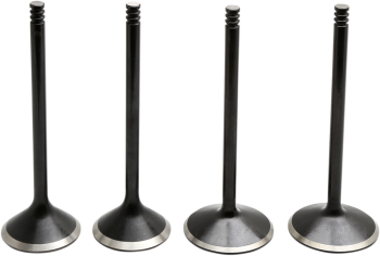 VALVE KIT 04-17 EVO/1200