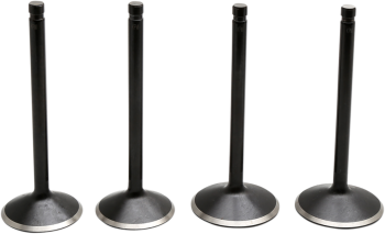 VALVE KIT 99-04 TC 88
