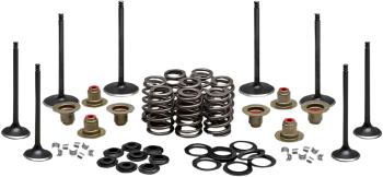 VALVE KIT COMP M8 17-19