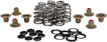 SPRING KIT BHIVE M8 .625