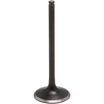 VALVE INT BD STD