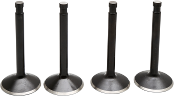 VALVE KT SHOVEL 74 66-77