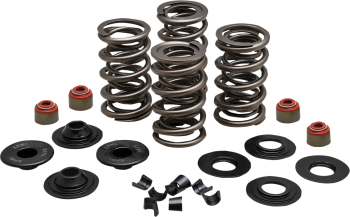 SPRING KIT 05-17 TC/XL