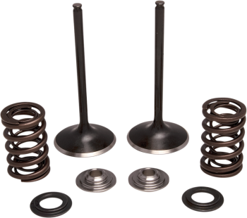 VALVE KT IN CRF250R 18-21