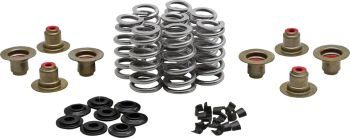 BEEHIVE VALVE SPRING KIT 0.640