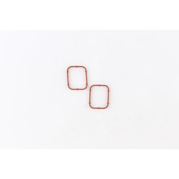 GASKET INNER ROCKER 2PK