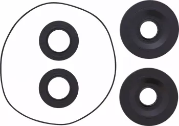DIFFERENTIAL SEAL ONLY KIT REA