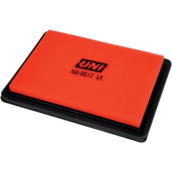 AIR FILTER RZR 570 EFI
