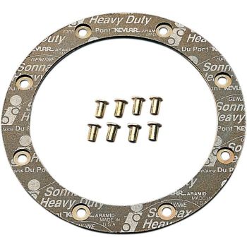 PLATE FRICTION W/RIVETS