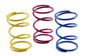 VARIATOR SPRINGS JASIL