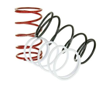 TRQ SPRING SET SPORT-3PCS