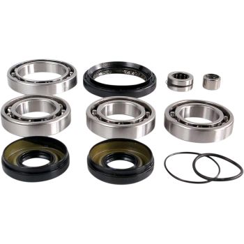 DIF BEARING SEAL KIT FR