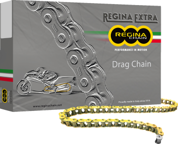CHAIN 520DR GB 140C+RS