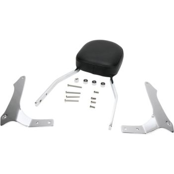 SISSY BAR STD RAIDER