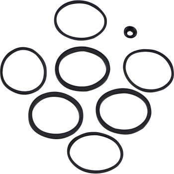 SEAL KT CALIPER 08-20 FLT