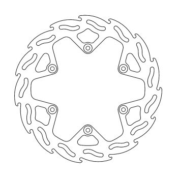 BRAKE DISC FLAME REAR